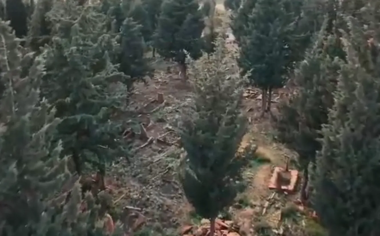 Gelibolu’da Tarihi Keşif: Rumeli’nin İlk Akıncılarına Ait 8 Bin 731 Mezar Bulundu!