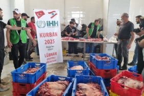 7a9907ca-a0de-4ab9-b8b3-4a22669b70a3