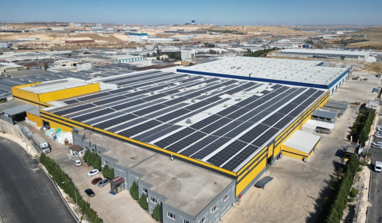 Artemis Halı’dan 31 Milyon TL’lik Yatırımla 61.924 Ağaçlık Ekolojik Katkı