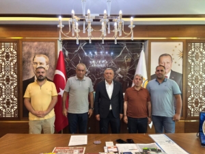 816738rctoSyMY
