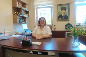 d54501bb-e11d-4031-baab-f2167733b703