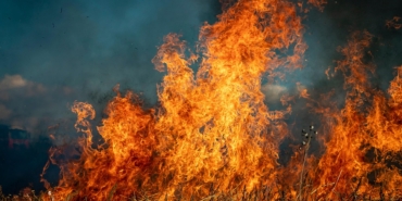 fire-6706673_960_720