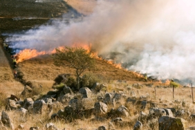 grass-fire-807388_960_720