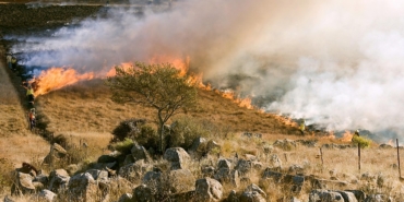 grass-fire-807388_960_720