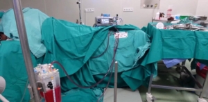 42454906-f602-4d32-86a1-cdf8ba3a0509