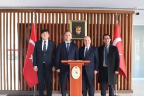 17626762491861786610