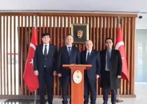 17626762491861786610